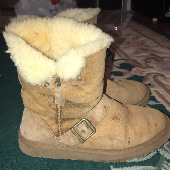 brown short uggs w buckle! classic short dylan - Picture 2 of 6